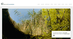 Desktop Screenshot of gennarociavarella.com